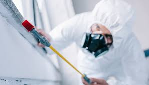 Best Pest Prevention Services  in Eagle Lake, WI